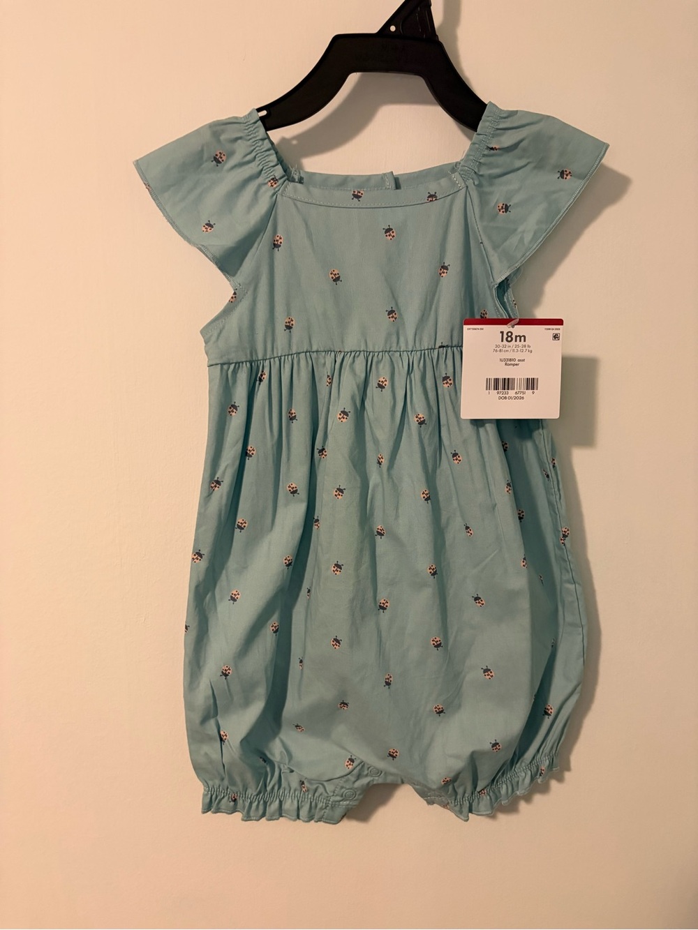 Carter's Light Blue Floral Bubble Romper